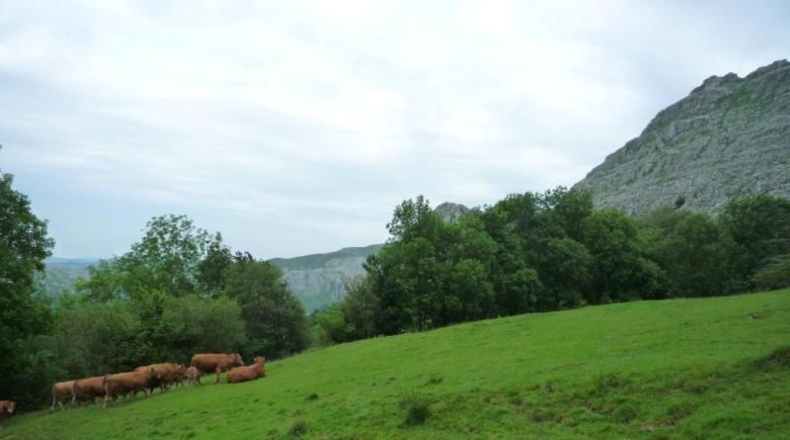 Cantabria - Liérganes - 14660m2