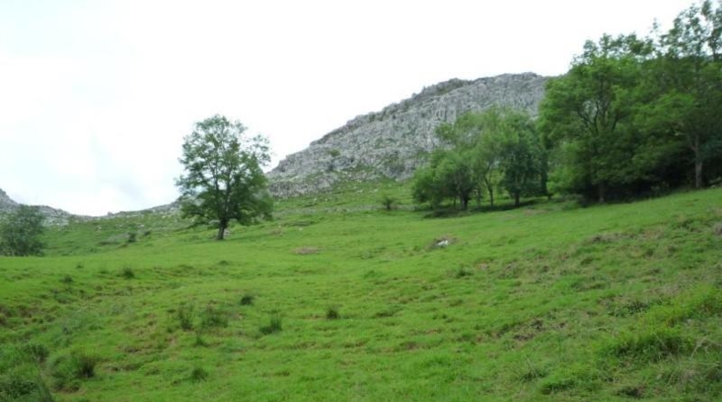 Cantabria - Liérganes - 14660m2