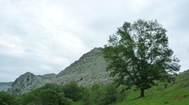 Cantabria - Liérganes - 14660m2