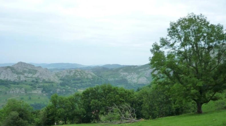 Cantabria - Liérganes - 14660m2