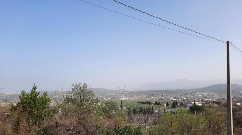 Córdoba - Lucena - 1000m2
