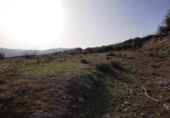 Terreno no urbanizable en venta en la España, Lucena, ref: TR241758 foto