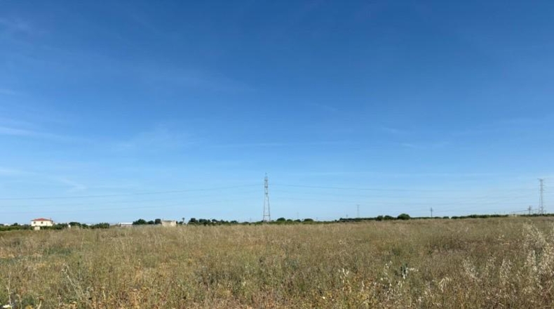 Valencia - Museros - 11954m2