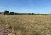 Terreno no urbanizable en venta en la España, Museros, ref: TR411081 foto