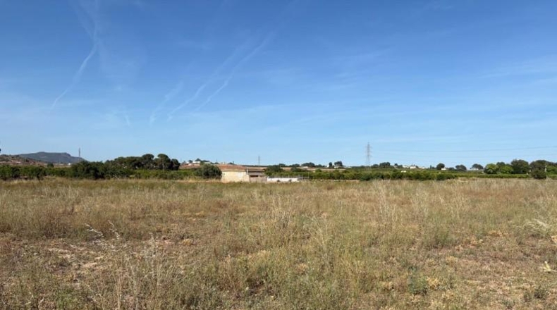 Valencia - Museros - 11954m2