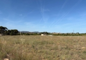 Terreno no urbanizable en venta en la España, Museros, ref: TR411081 foto