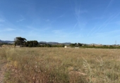 Terreno no urbanizable en venta en la España, Museros, ref: TR411081 foto