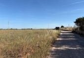 Terreno no urbanizable en venta en la España, Museros, ref: TR411081 foto