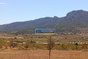 Foto 8