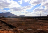 Terreno no urbanizable en venta en la España, Teguise, ref: TR403802 foto