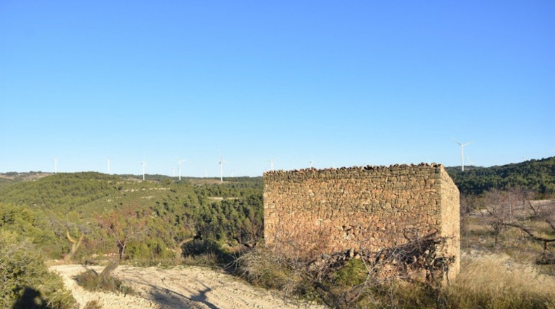 Málaga - Casares - 56942m2