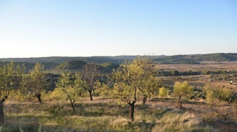 Málaga - Casares - 56942m2