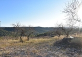 Detached villa with land for sale on España, Caseres, ref: TR300059 photo
