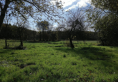 Terreno no urbanizable en venta en la España, Castro de Rei, ref: TR116745 foto