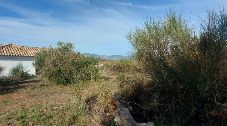 Granada - Nívar - 450m2