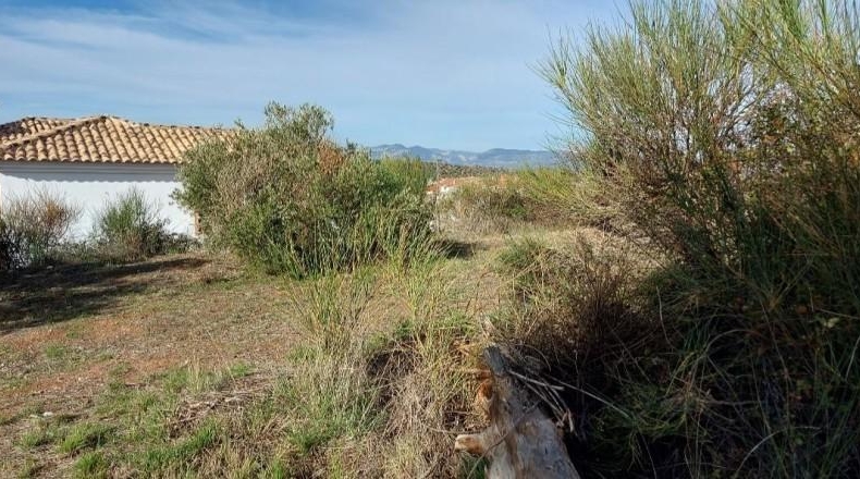 Granada - Nívar - 450m2