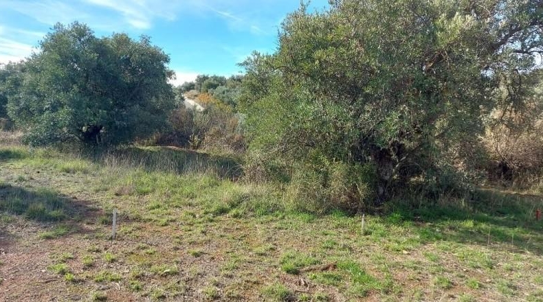 Granada - Nívar - 450m2