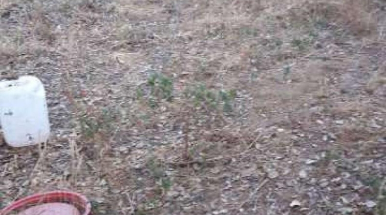 Barcelona - Dosrius - 605m2