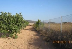 Foto 12