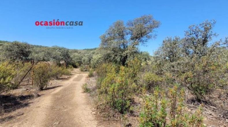 Córdoba - Villanueva del Duque - 8680m2