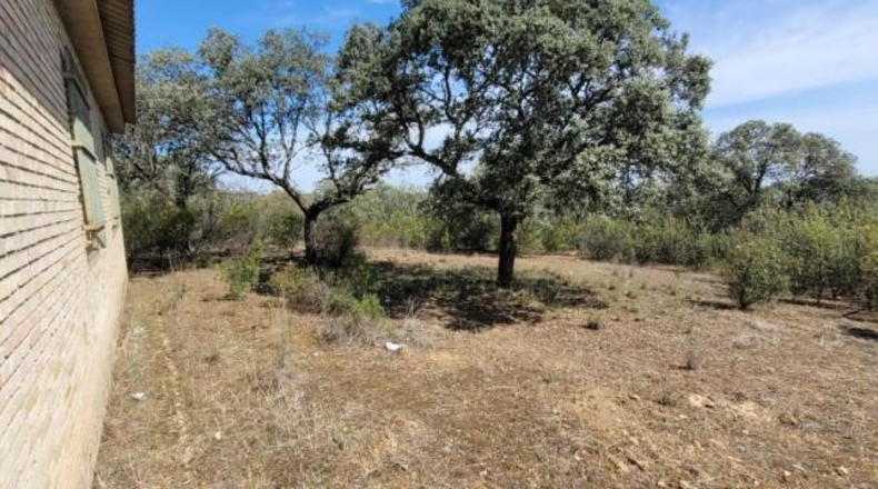 Córdoba - Villanueva del Duque - 8680m2