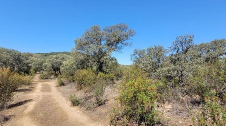 Córdoba - Villanueva del Duque - 8680m2