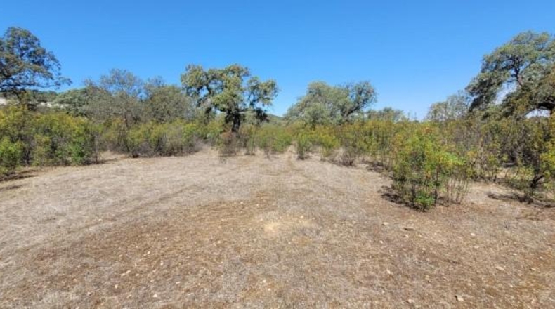 Córdoba - Villanueva del Duque - 8680m2