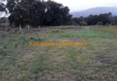 Suelo urbano en venta en la España, Tomiño, ref: TR113876 foto