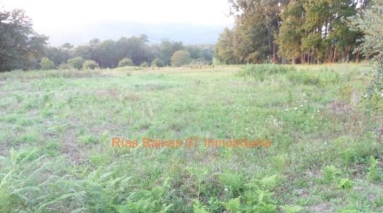 Pontevedra - Tomiño - 1100m2