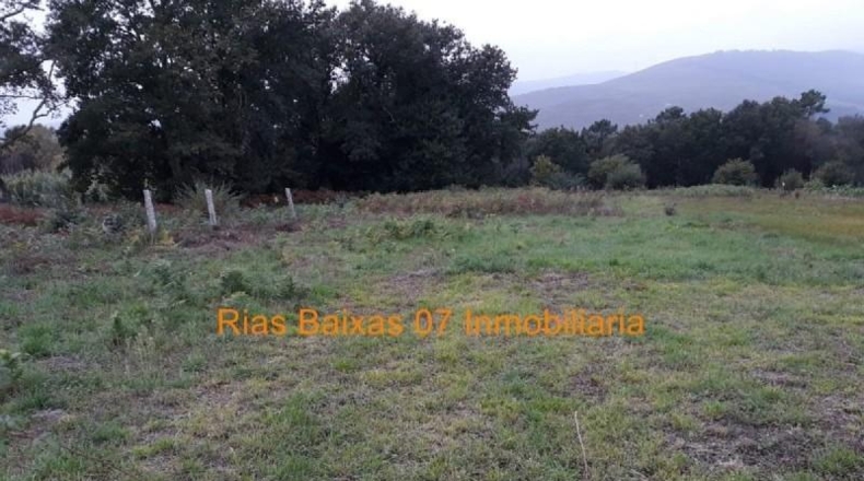 Pontevedra - Tomiño - 1100m2