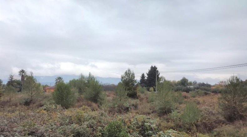 Valencia - Onteniente - 8389m2