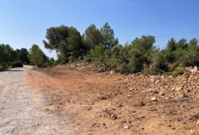 Foto 12