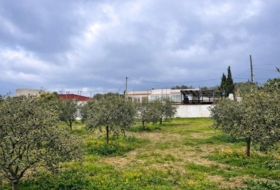 Roses 702&nbsp;m²