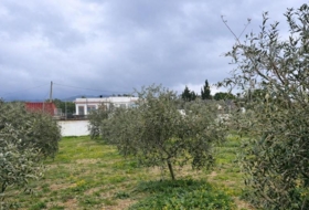 Roses 702&nbsp;m²