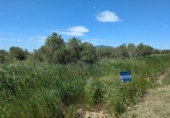 Terreno no urbanizable en venta en la España, Amposta, ref: TR412695 foto