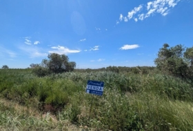 Amposta 6011&nbsp;m²