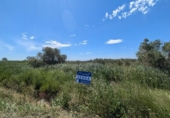 Terreno no urbanizable en venta en la España, Amposta, ref: TR412695 foto