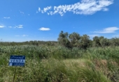Terreno no urbanizable en venta en la España, Amposta, ref: TR412695 foto