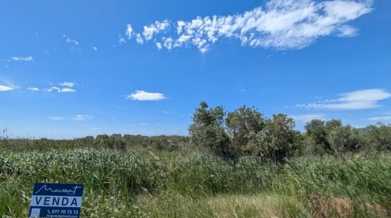 Tarragona - Amposta - 6011m2