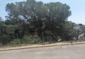 Parcel·la urbanitzable en venda a la España, Dosrius, ref.: TR241786 foto