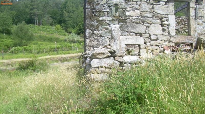 Pontevedra - La Cañiza - 5000m2