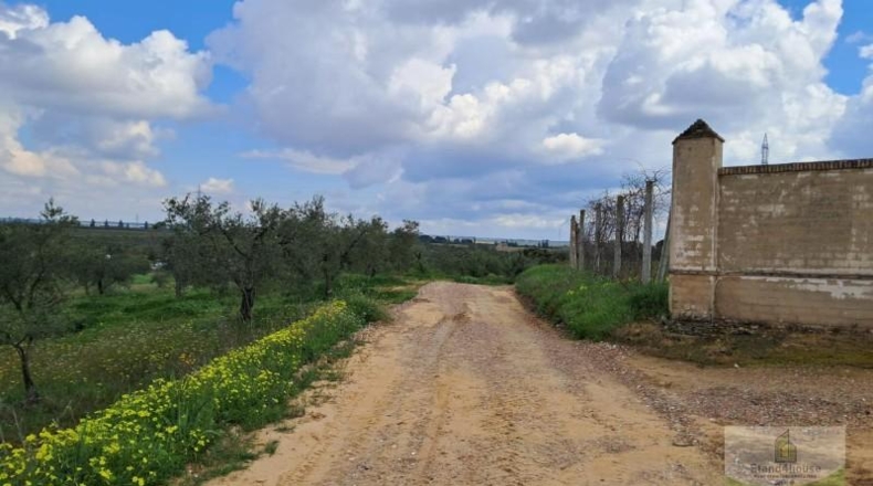 Huelva - Almonte - 33362m2