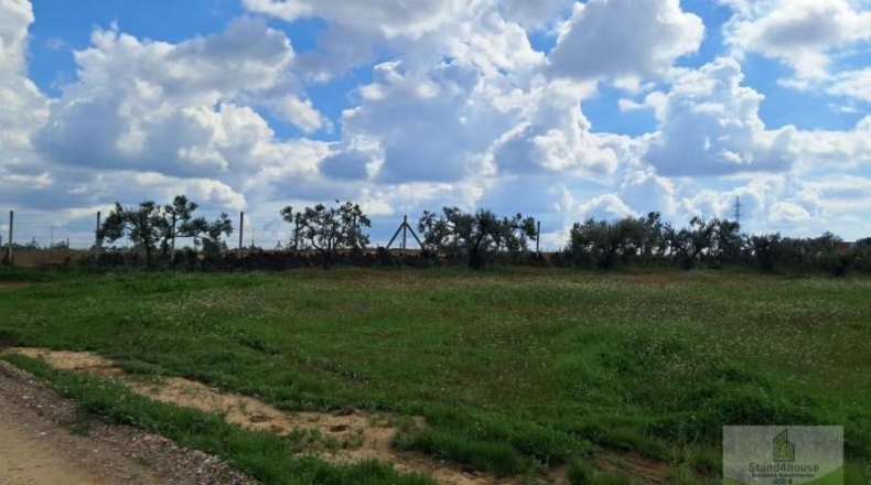 Huelva - Almonte - 33362m2