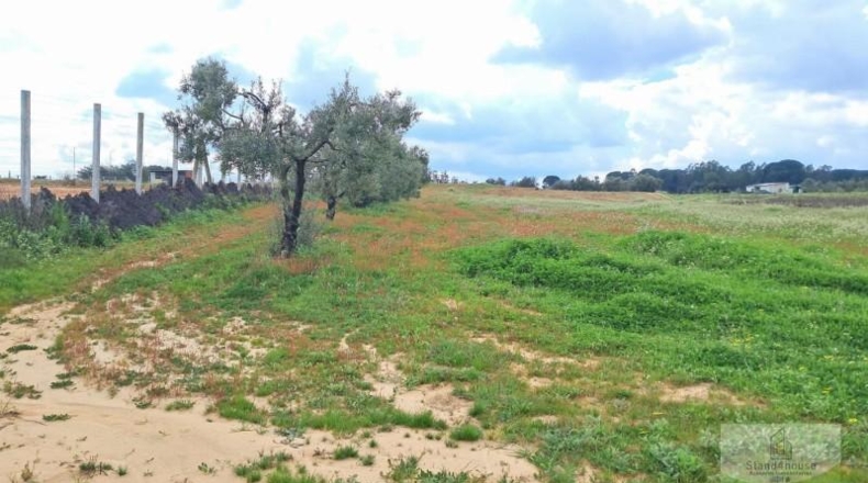 Huelva - Almonte - 33362m2