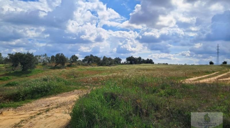 Huelva - Almonte - 33362m2