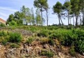 Urban land for sale on España, Olivella, ref: TR338155 photo