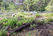 Urban land for sale on España, Olivella, ref: TR338155 photo