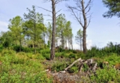 Urban land for sale on España, Olivella, ref: TR338155 photo