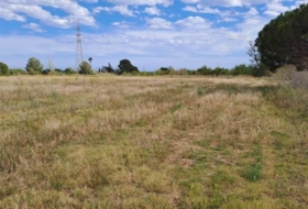 Riudoms 16166&nbsp;m²