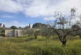 Benigànim 8663&nbsp;m²